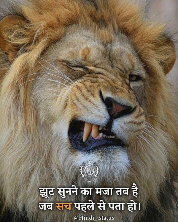 улыбка льва