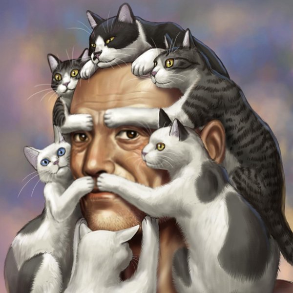 кот картина