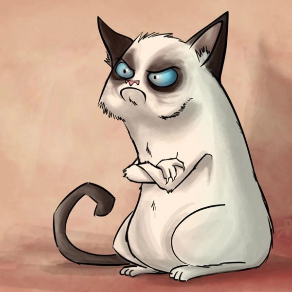 рисованные коты