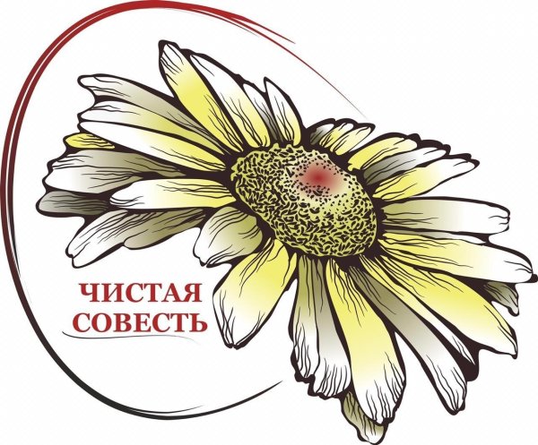 ромашка эскиз