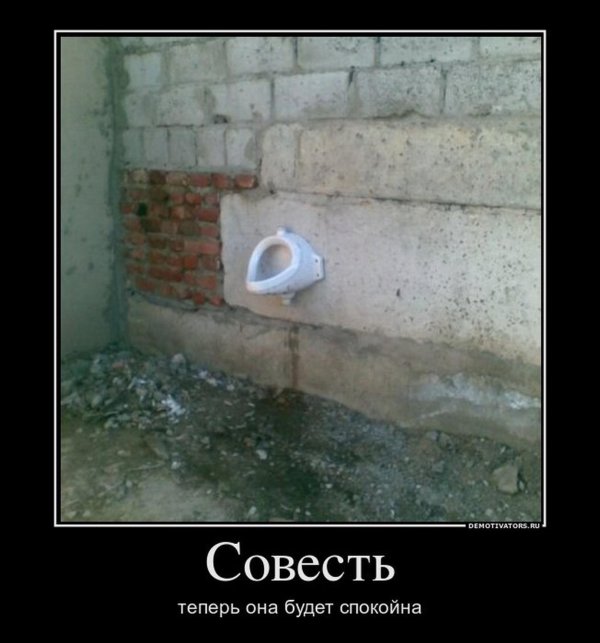 совесть прикол