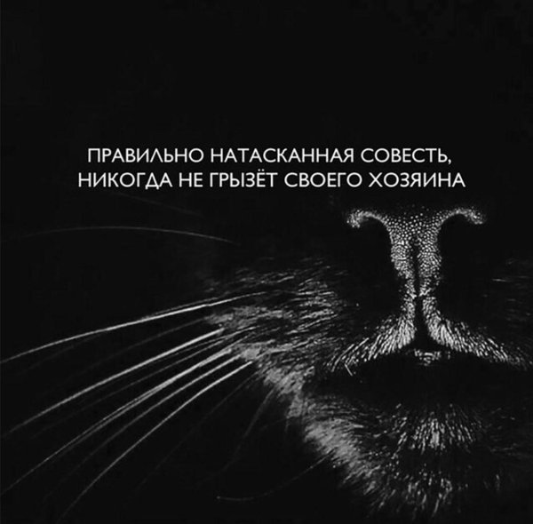 правильно натасканная совесть никогда не грызет своего