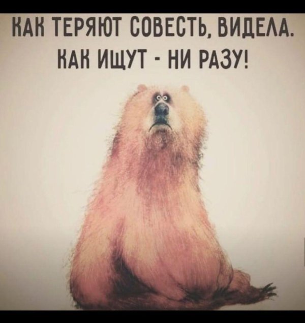 wiebke rauers иллюстрации