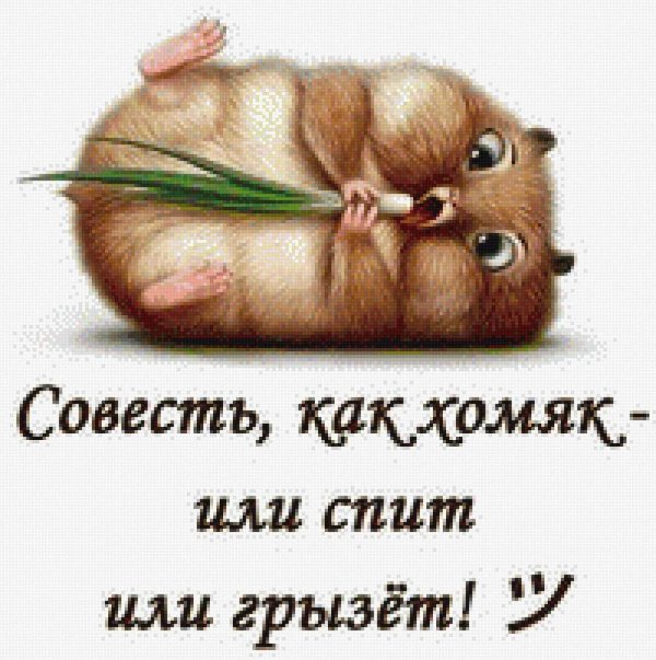 доброе утро хомячок