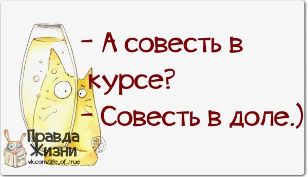 правда жизни юмор мотивация сарказм