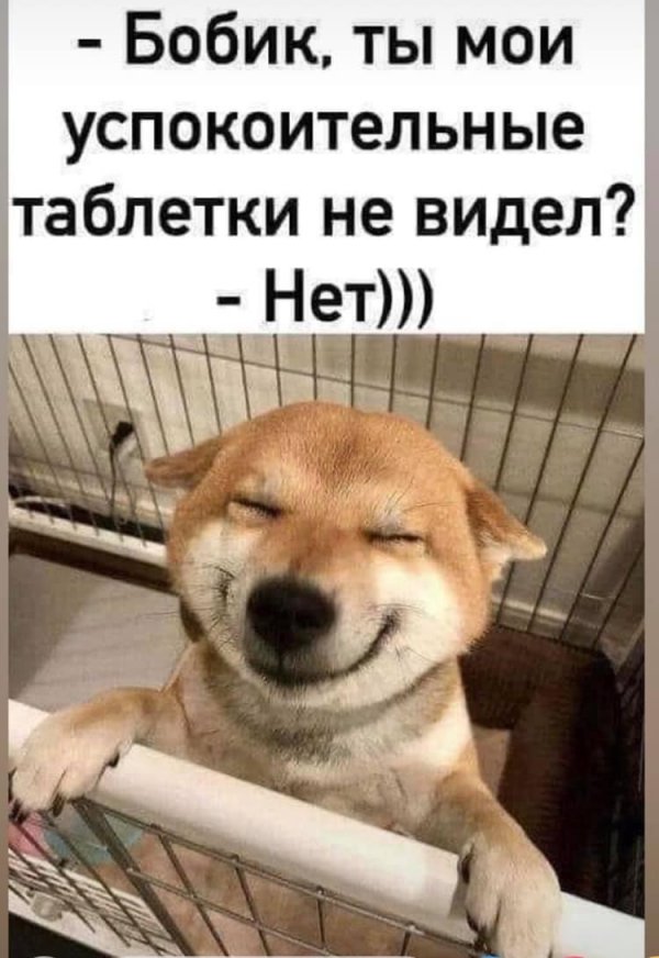 успокоительное прикол