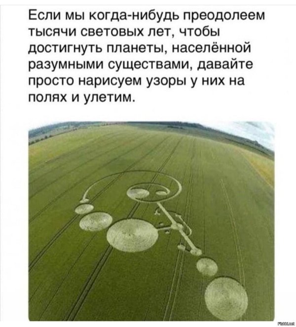 круги на поле