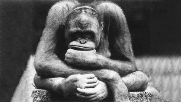 Философские