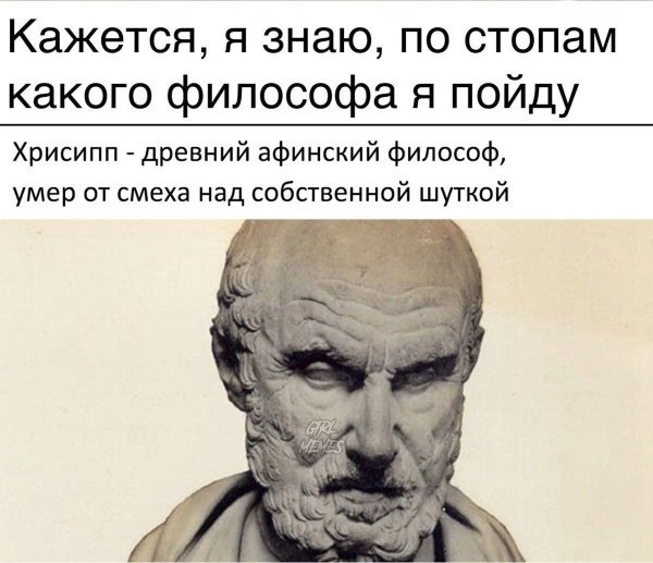 стоик хрисипп