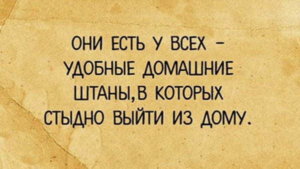 цитаты веселые