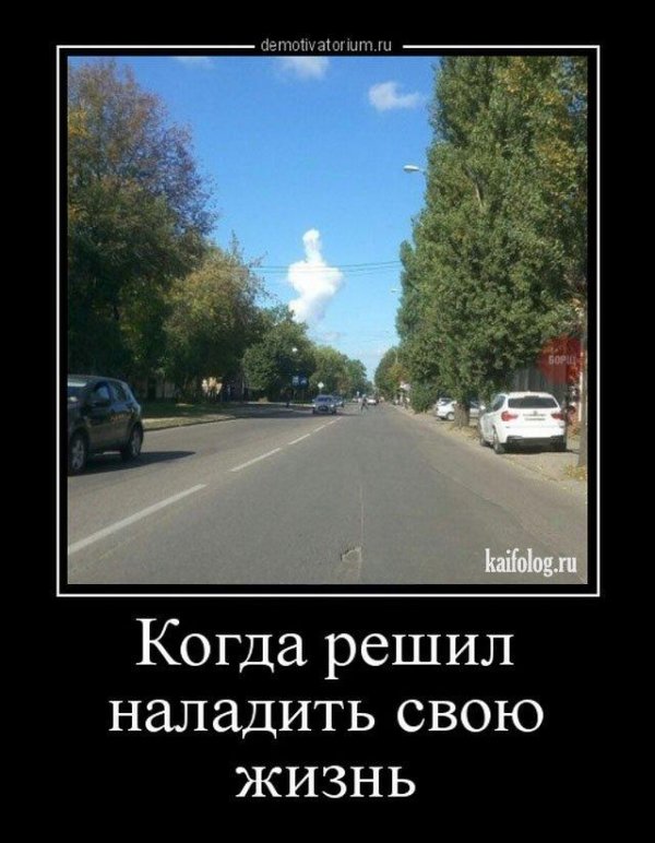 дерево тополь