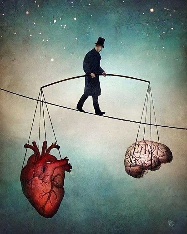 сердце и мозг