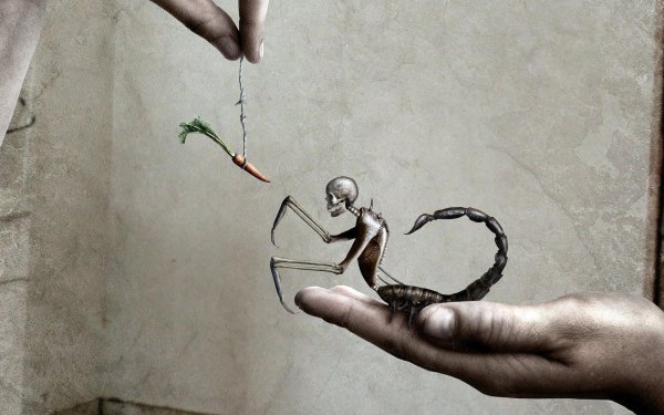 скорпион рисунки