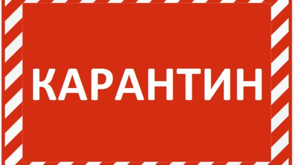 зона карантина