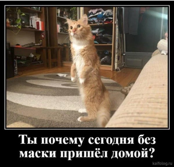 смешной прикол