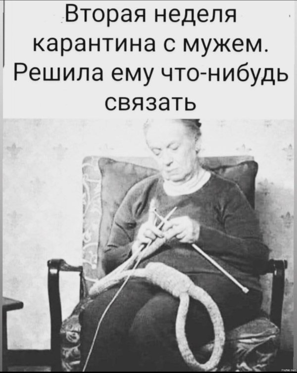 юмор женский