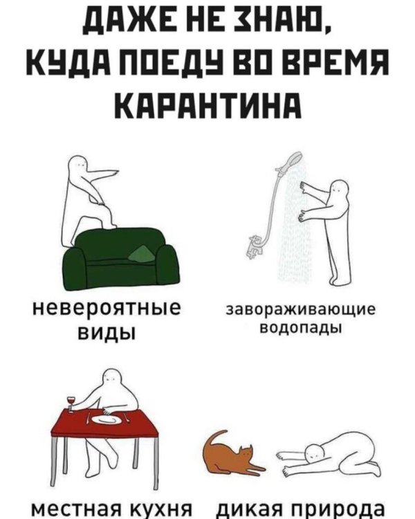 поехала кукуха