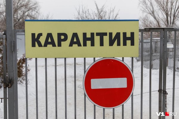 зона карантина