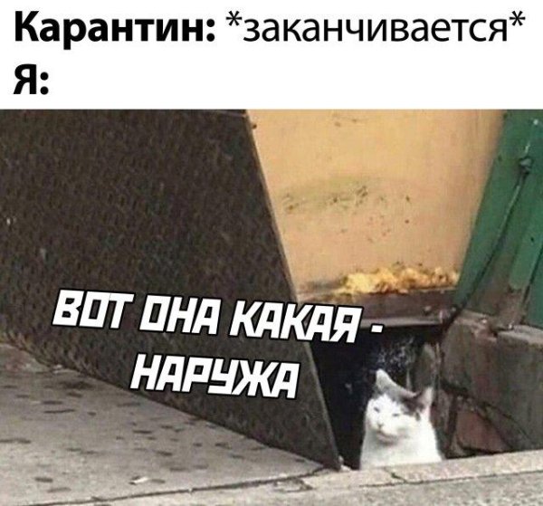 веселые шутки