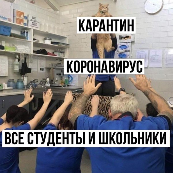 студент мем