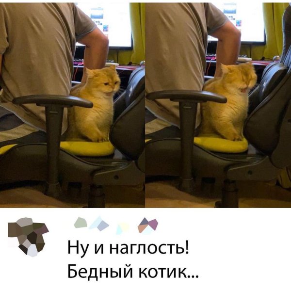 смешная ситуация