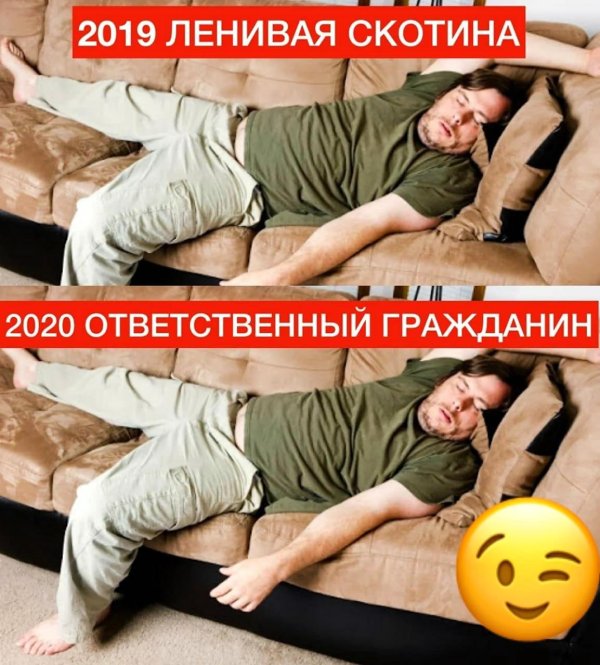 ленивая скотина