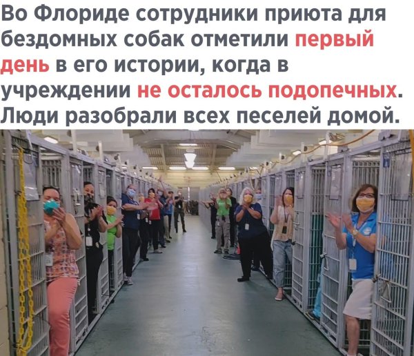 работник приюта