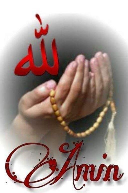 оллох асрасин