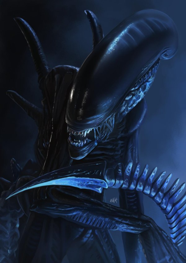alien xenomorph