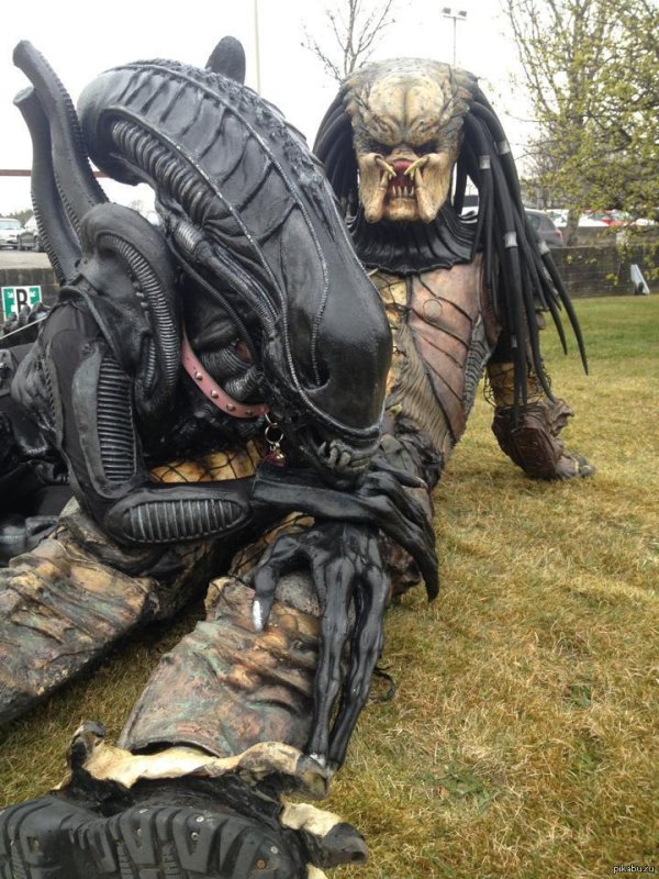 хищники против чужих