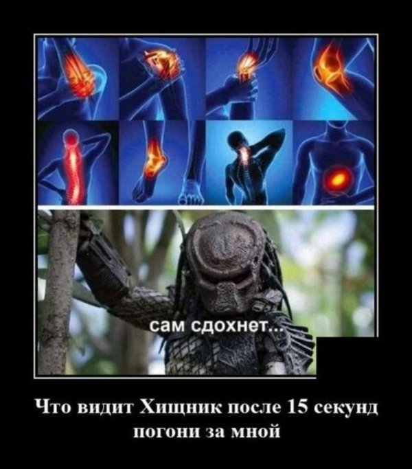 как видит хищник