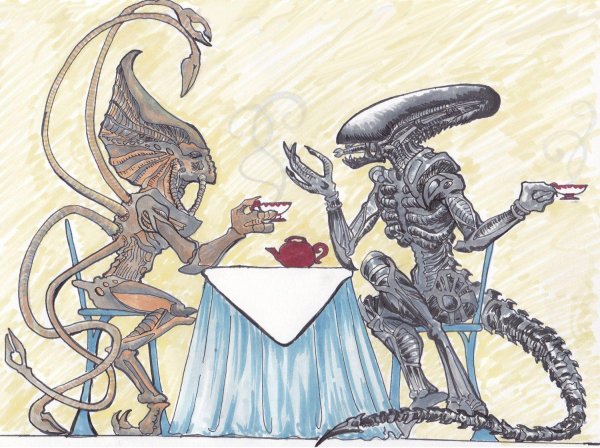 чужой прикол