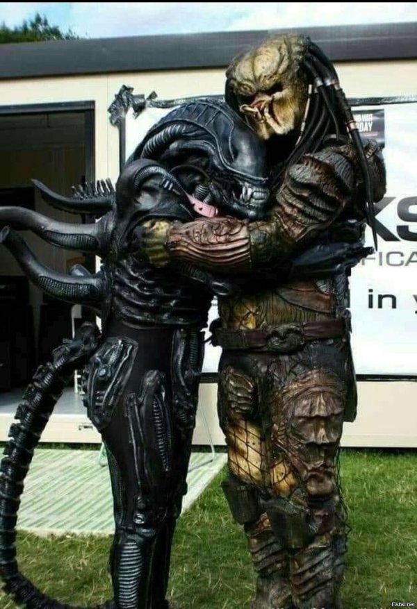 хищники против чужих