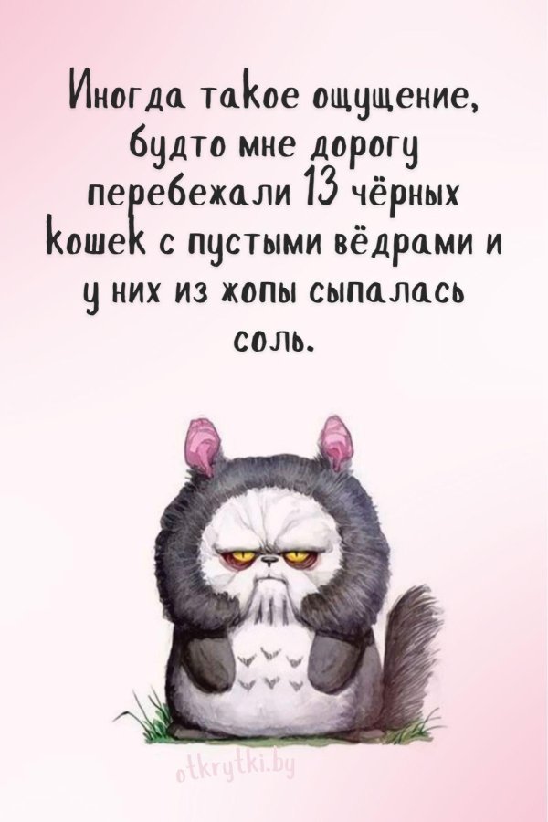 веселые высказывания