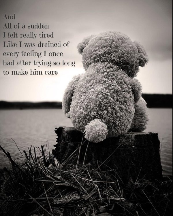 плюшевая мишка