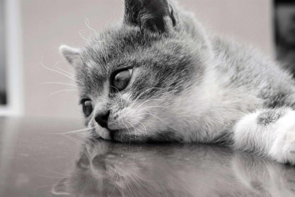 печаль тоска