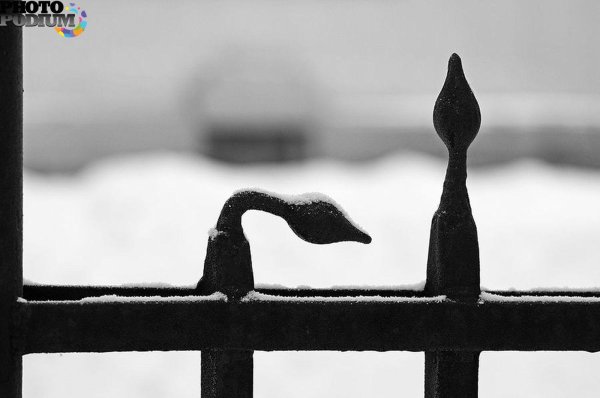 металлические заборы