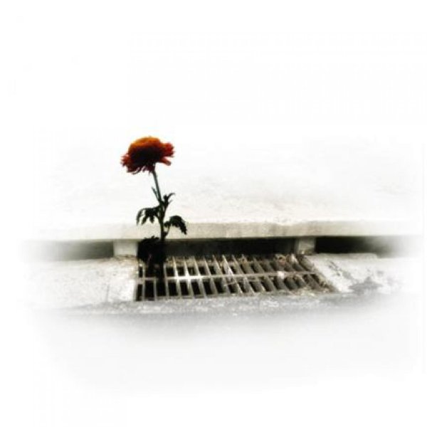 одиночество стих