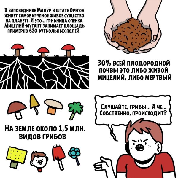 мем про гриб