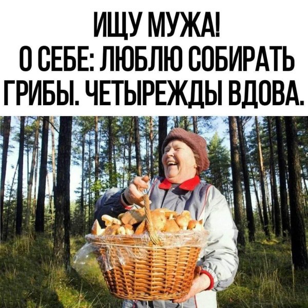 собираем грибы