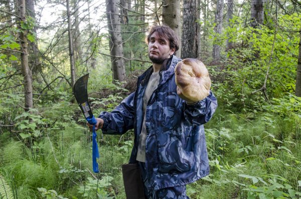 грибник подмосковья