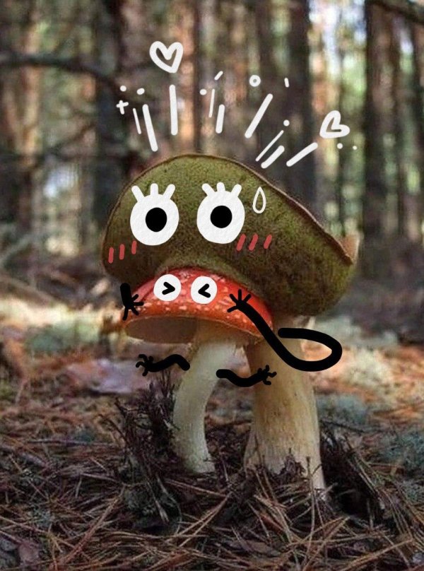 грибочки в лесу