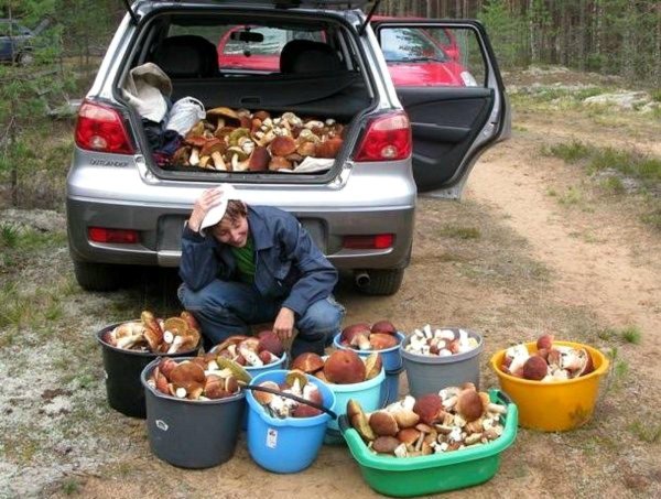 полный багажник грибов ваз 2114