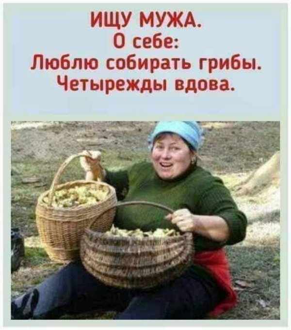 собираем грибы