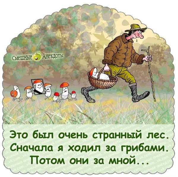 прикольный грибник