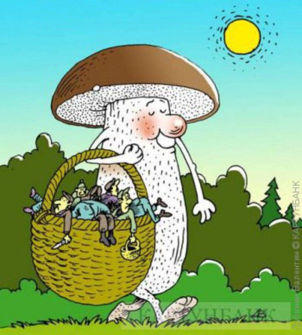 грибник карикатура