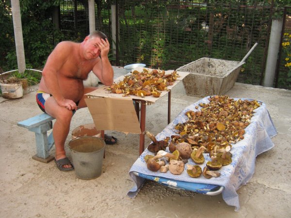 грибная охота