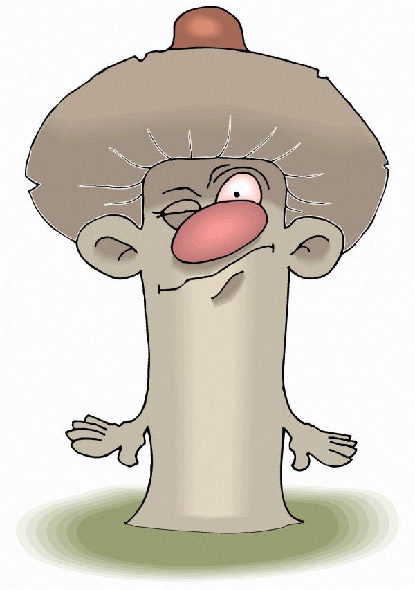 рисунки гриб