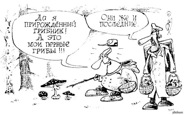 анекдоты про грибников
