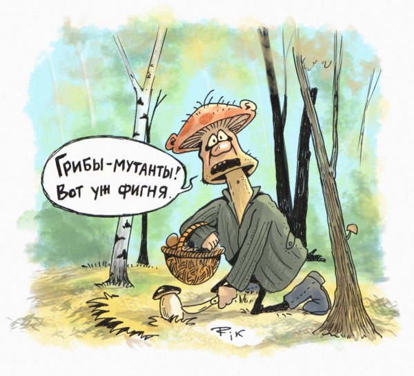 грибник карикатура